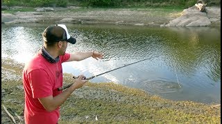 Nunca pense pescar este pez con caña mojarrera  - Pesca Variada de bagres tarariras y carpa