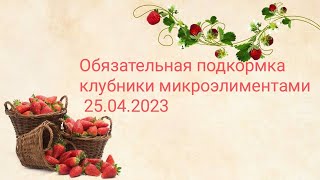 Хочешь большой урожай клубники!? Обязательно подкорми микроэлементами в апреле!!!