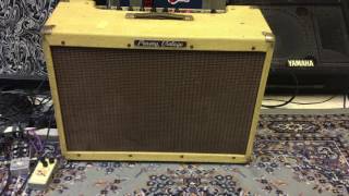 Peavey Vintage 100w Twin Tube Guitar Amplifier Serviced & Ready