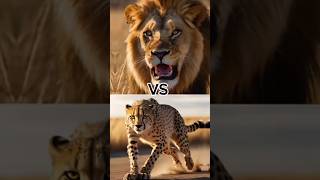 Animals battle 💪🏻🔥  #animals #hybridanimals #hybrid #battleroyale #vs #lion #tiger