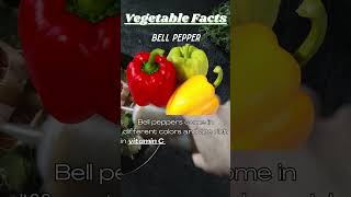 Facts about BELL PEPPERS #shrots