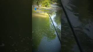 Gas mancing aja yok di Taiwan #fypシ #masukberanda #putriduyung #mermaid #shortvideo