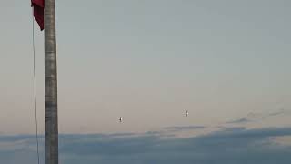 A Couple of F-18 Fighter Jets at AirVenture Oshkosh 2023