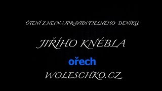 OŘECH