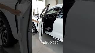 Car Doors  (part 2)