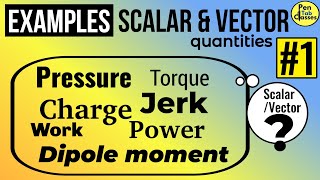 Scalar Quantities Examples