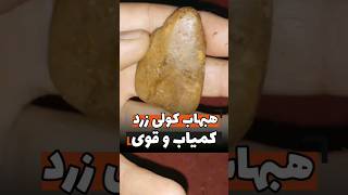 "هبهاب کولی زرد" کمیاب و قوی 🔥 ✅️دیسکریپشن حتما مطالعه شود