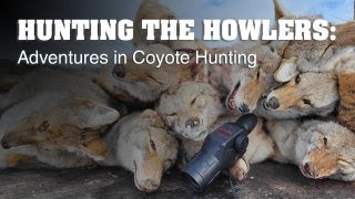 HUNTING THE HOWLERS: Adventures in Coyote Hunting