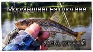 Мормышинг на плотине ! День второй ! NAUTILUS TROUT SPIRIT