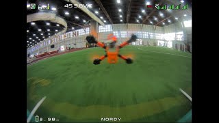 Nordy - Tiny Trainer Racing  - 11/12/23