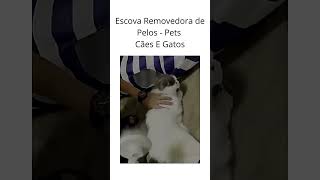 Escova Removedora Tira Pelos Dos Pets Cães E Gatos  #achadosdashopee #achadinhos #pets