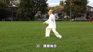 48式太極拳背向慢動作-2 (2013.09.16) 48 Form Tai Chi  Slow moving-2 (Back View)