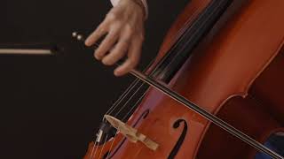 VIOLONČELO