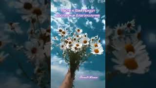 🍀🐞🌿 🌈МЕЧТЫ СБЫВАЮТСЯ🌈 🌿🐞🍀