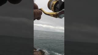 Pesca Spinning con Señuelo