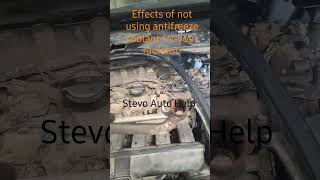 Effects of not using anti-freeze coolant in your cooling system (radiator)