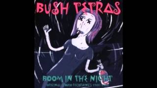 Bush Tetras - Who's Gonna Pay