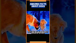 Facts About Dogs & Puppies, Dog Facts Video | motivation #shorts