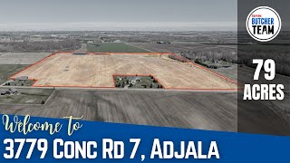 3779 Concession Road 7, Adjala