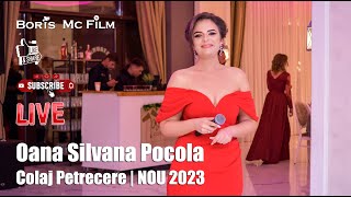 Oana Silvana Pocola - Colaj Petrecere