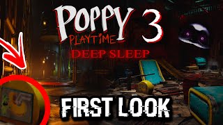 Our FIRST Look at Poppy Playtime Chapter 3! - [Photo Breakdown & Analysis]