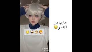 عاجل ⚠ كيلوا هرب من الانمي امسكوه !!