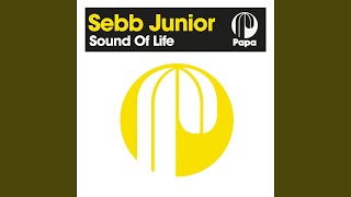 Sound Of Life (Instrumental Mix)