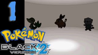 Another Journey Begins! Pokémon Black 2 Nuzlocke Part 1