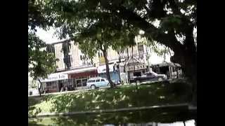 Fish Filled Canal (the moat and wall of old Chiang Mai)