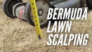 Bermuda lawn scalping