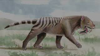 Thylacoleo - Australia's Marsupial Lion