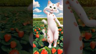 White Strawberry Cat Dance Lulala Daily #cat #lulaladaily #strawberry #dance #whitecat