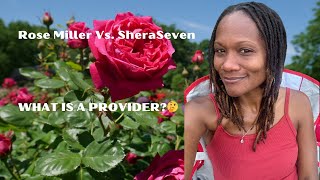 Whose advice are you taking? Provider Men @kweenofkings vs. @sheraSeven