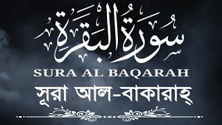 INCREDIBLE Voice Recites Quran - Sura Al-Baqarah 141-177