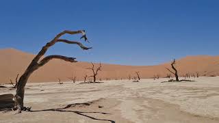 Walking to Deadvlei, near Sesriem in Namibia