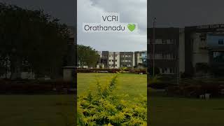 VCRI Orathanadu, you beauty💚#new #newvideo #vlog #shorts #veterinary #tanuvas #neet #campus