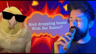 Bird dropping beats with Kazoo?