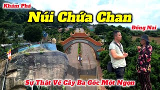 Núi Chứa Chan Gia Lào Và Sự Thật Đằng Sau Câu Chuyện Về Cây Ba Gốc Một Ngọn