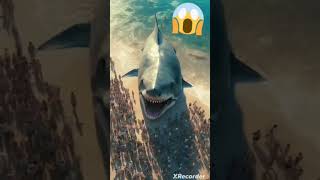 Death Shark price is 12 million rupees 💰#viral #viralvideo #animals #sorts #shark #sharksorts