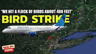 PILOTS DIVERT TO NEWARK after a bird strike! Republic Airways