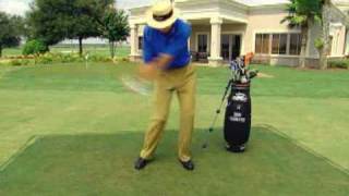 David Leadbetter's SwingSetter Pro