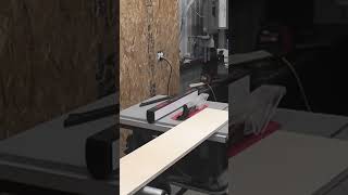 Precision Cuts with SawStop Jobsite Saw: Plywood Strip Cutting Made Easy!