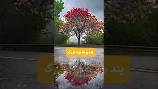 #هدایت و پند بزرگ برای همه💯Great guidance and advice for everyone توجيهات ونصائح عظيمة للجميع💐