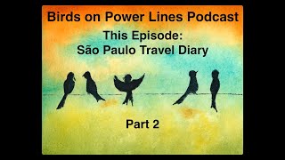 São Paulo Travel Diary: Part 2 (Audio) #saopaulo #brazil #travelpodcast