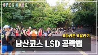 남산코스 LSD 공략법 | 마라톤 | 달리기 | 오픈케어 | 함연식