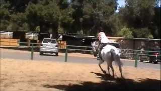 Jumping Lesson With Oliver :)