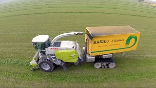 Claas Jaguar 960 Terra Trac | Bunker forage harvester - Lucerne Harvest - Hartog Abbekerk