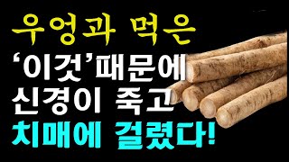 우엉과 절대로 함께 먹지마세요! 암과 치매에 걸릴 수 있습니다! 우엉과 먹으면 최악의 궁합인 3가지와 건강지키는 최고의 음식3가지 까지 [우엉 효능, 건강 정보]