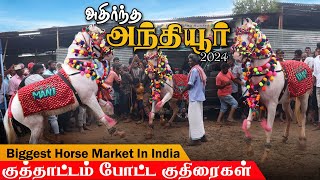 அந்தியூர் சந்தையை அலறவிட்ட குதிரைகள்| Dancing horse at anthiyur market 2024 | அந்தியூர் சந்தை