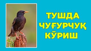 Туш табири - Тушда Чугурчук куриш